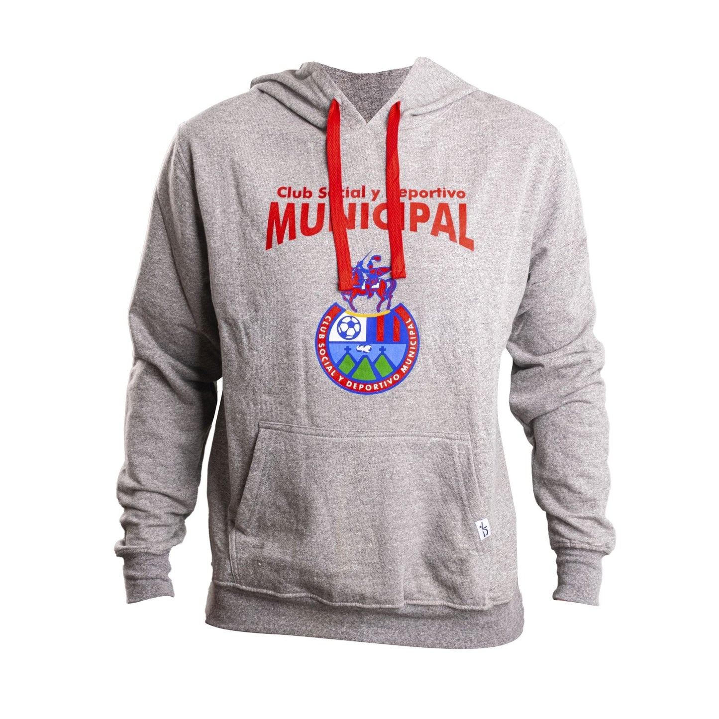 Hoodie Adulto Gris "Escudo"